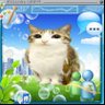 Meowl is the top☝️ 的头像
