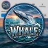 whalesalert.bnb Tabi | Solix | HUDL 「 🖐️ ✦ 🇳🇬 」's profile picture