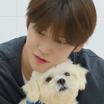 뽀삐pepe's profile picture