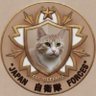 サン profil fotoğrafı