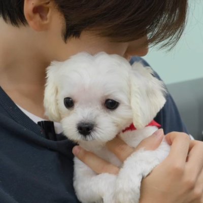 ໊'s profile picture