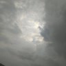 shreya singh's profile picture