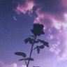 𝙼𝚊𝚂𝚘𝚢𝚎𝚗𝚐𝚠𝚊𝚜𝚎🦢 profil fotoğrafı