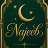 Фото профиля Muhammad Najeeb tipu