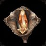Gastrodia 的头像