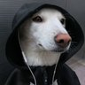 oski's profile picture