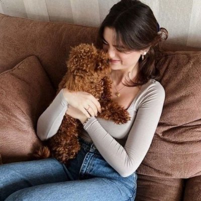 felipe_mendona's profile picture