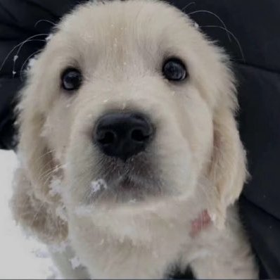 Nidie's profile picture