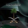 🇸🇦 Nor 的头像