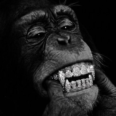 DART GOBLİN's profile picture