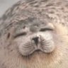 Profilbild von Meakee