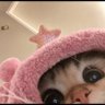 Cyndewquil 🦔🔥 ヒノアラシ profil fotoğrafı