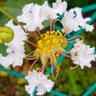 路傍の花 profil fotoğrafı