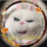 ก๋วยเตี๋ยวก่ายยย profil fotoğrafı