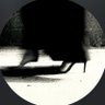 Profilbild von هـند