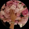 SHD's profile picture
