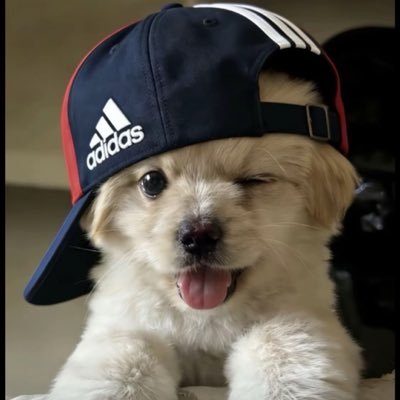 natachailover_'s profile picture