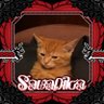 __✮🪩บบมเบบี้เฮซัสวาเคลราร์🕶✮__ profil fotoğrafı