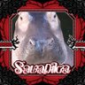 Фото профиля น้องขาหมู @SaWaDiKa