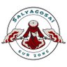 Salyagosai 🇫🇷🔻🐢 的头像
