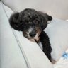 김동건's profile picture