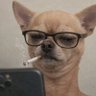 Tex Caliber's profile picture