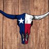 Profilbild von TexasTrucker