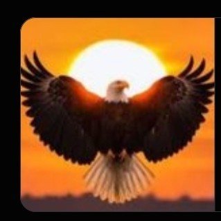 NeilSingh675872's profile picture