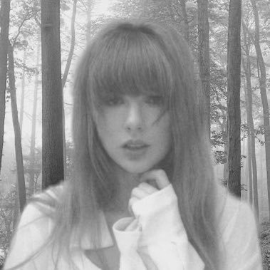 imgonnastan⸆⸉'s profile picture