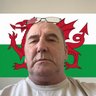 Martin Carroll's profile picture