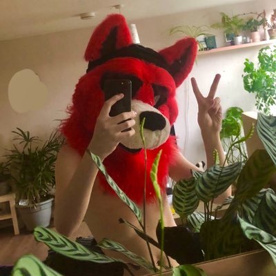 JezzerJizzFox's profile picture