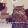 . profil fotoğrafı