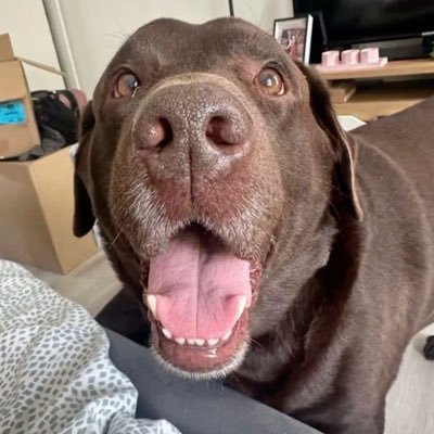MuskVisionHQA's profile picture