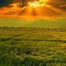 Mjd_Abdulrasool's profile picture