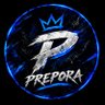 PREPORA's profile picture