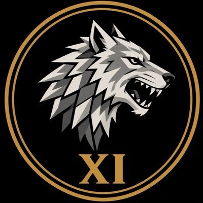 TheStarkXI's profile picture