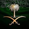 ناصر NaSeR's profile picture