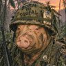 Howie Honeyham's profile picture