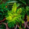 Фото профиля هيثم قندي | أبوجعفر