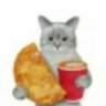 Profilbild von Bhoo