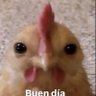 Profilbild von Basil