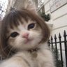 Sude profil fotoğrafı