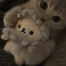 东东交易日记's profile picture
