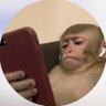 Emmanuel's profile picture