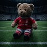 TheBear 🐻 🔴🔴 的头像