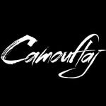 Camouflaj's profile picture