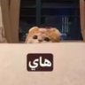 Profilbild von ســ |