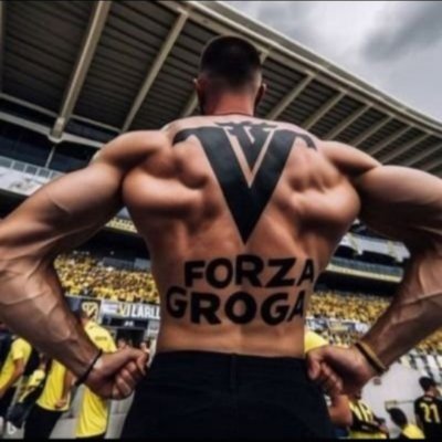 FORZAGROGA💛's profile picture