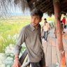 Фото профиля Arpit