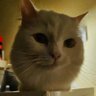 Profilbild von VC351